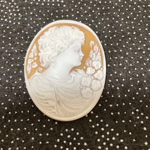 Vintage kamee brosche - vintage, schmuck