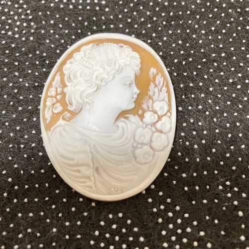 Vintage kamee brosche schmuck - vintage,